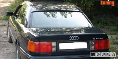 Козырёк на заднее стекло Audi A6(C4) 