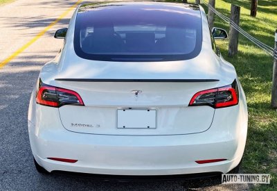 Спойлер TESLA Model 3 